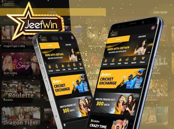 যদি JeeTwin ওয়েবসাইট দীর্ঘকাল অ্যাক্সেসযোগ্য না হয়, ব্যবহারকারী কিভাবে তথ্য সুরক্ষিত রাখতে পারেন?